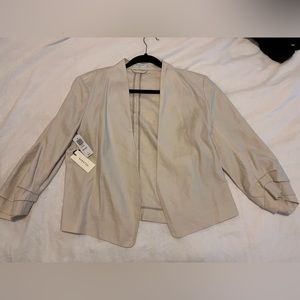 Aritzia Power Blazer